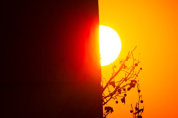 Sunny day